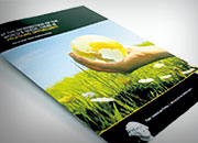 FAF Global Infrastructure Brochure